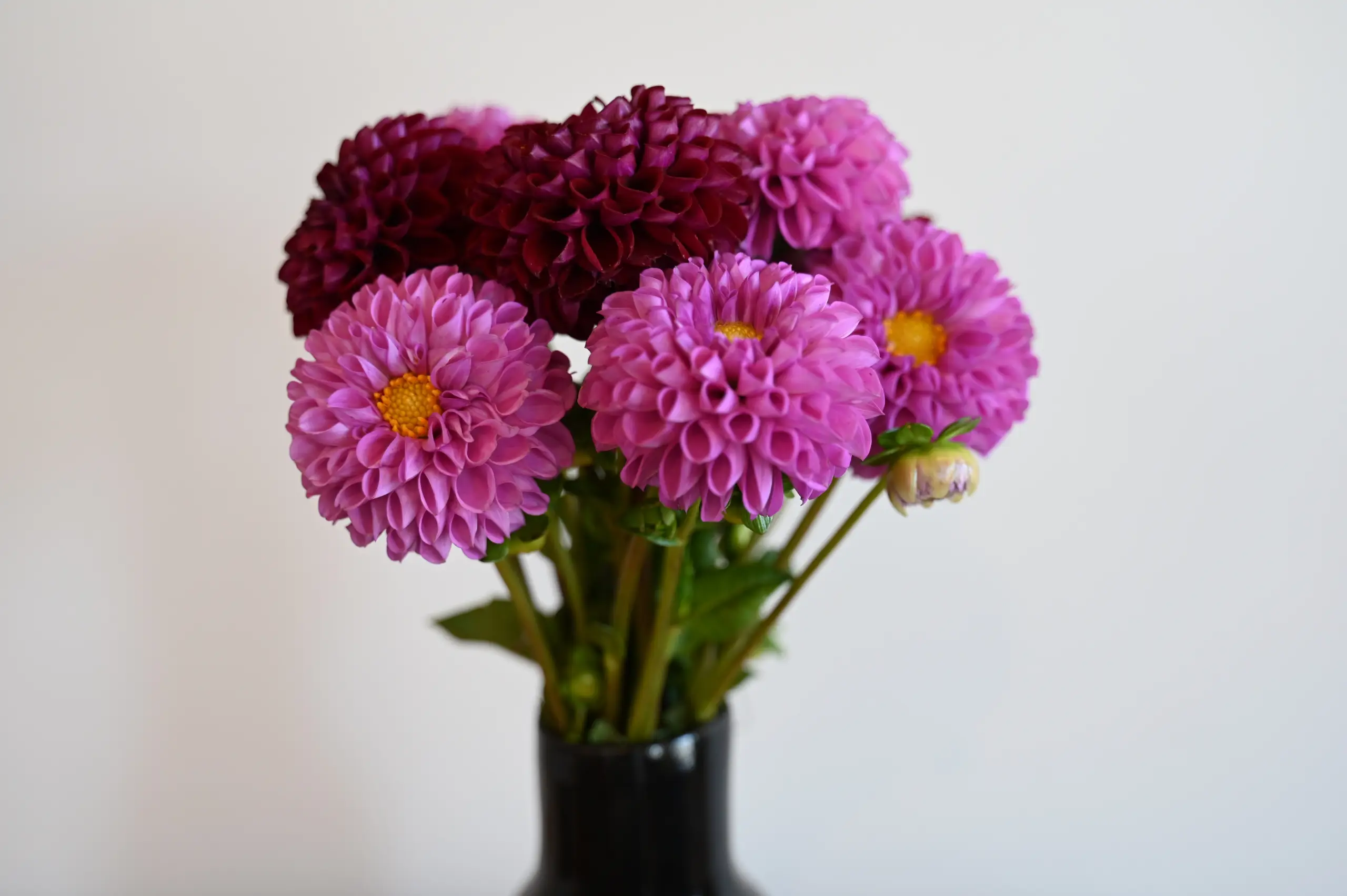 Quiet therapy workspace with curated natural details
